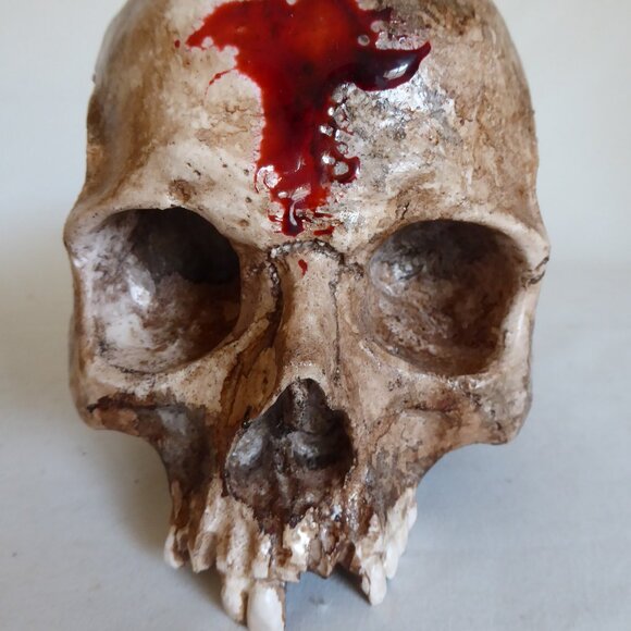 NEW ARTISAN HANDCRAFTED REALISTIC LIFE SIZE HUMAN SKULLS HALLOWEEN PROP ODDITY - Picture 16 of 16